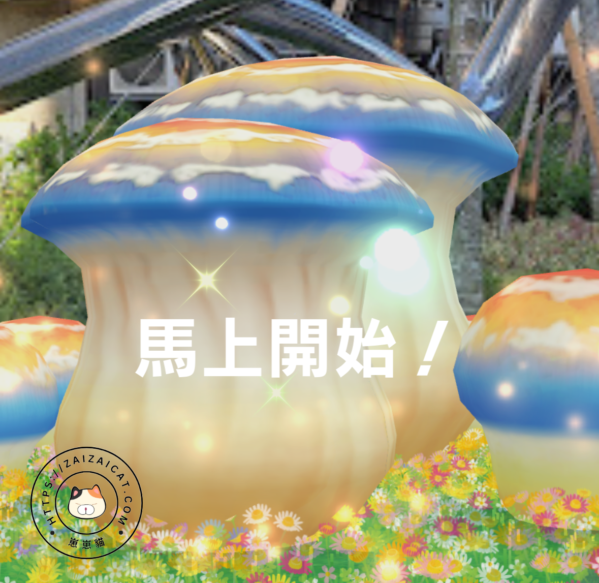 開始打蘑菇