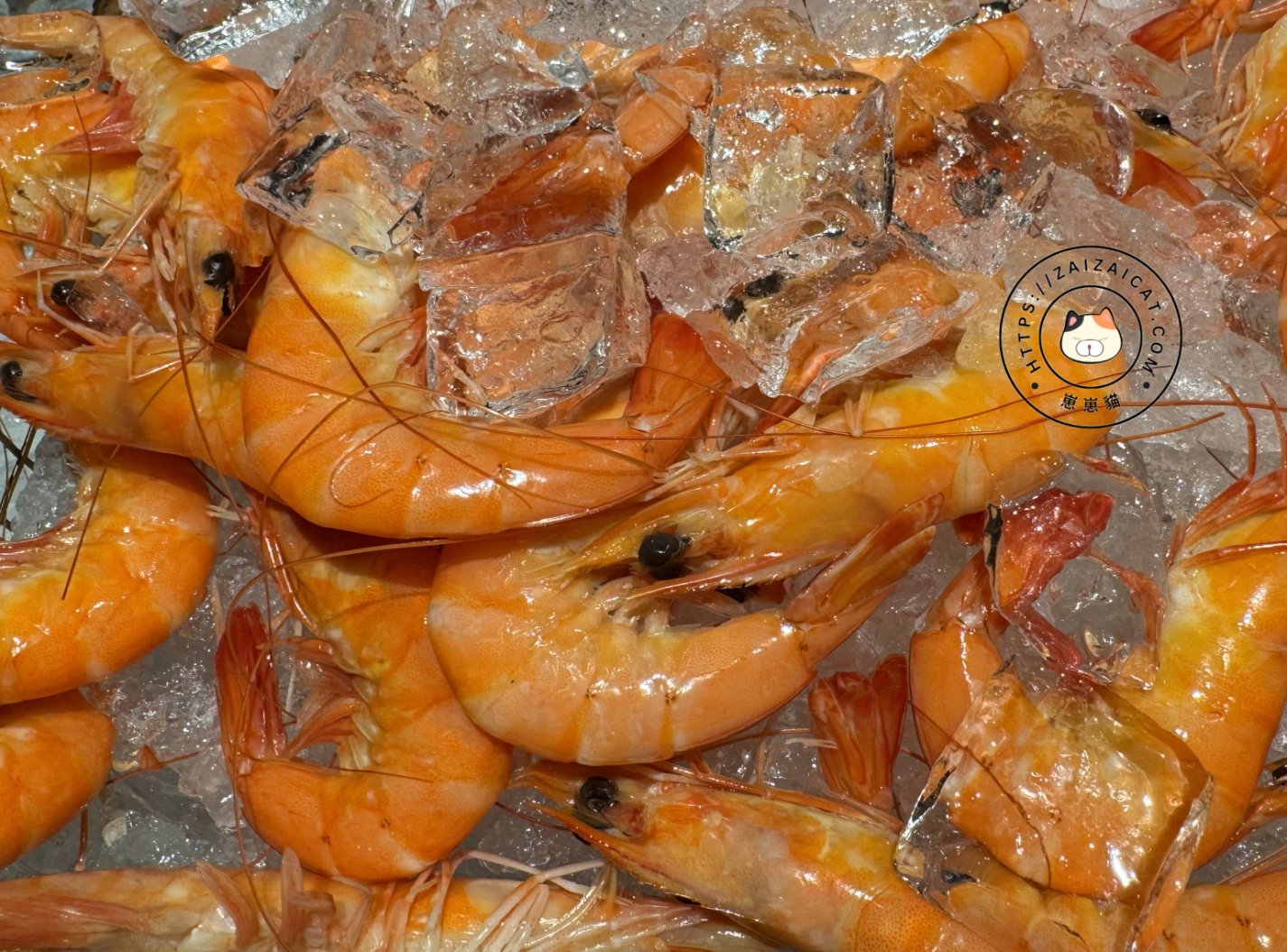 鮮甜白蝦(推!超好吃👍)